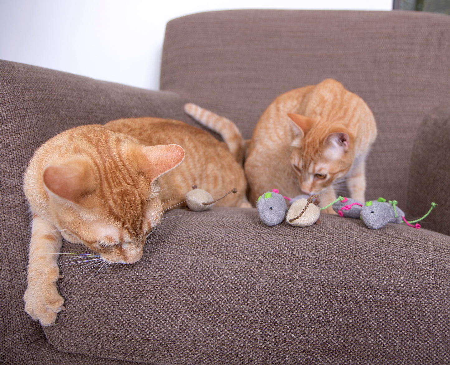 SmartyKat Skitter Critters (Set of 10) Value Pack Plush Catnip Cat Toys