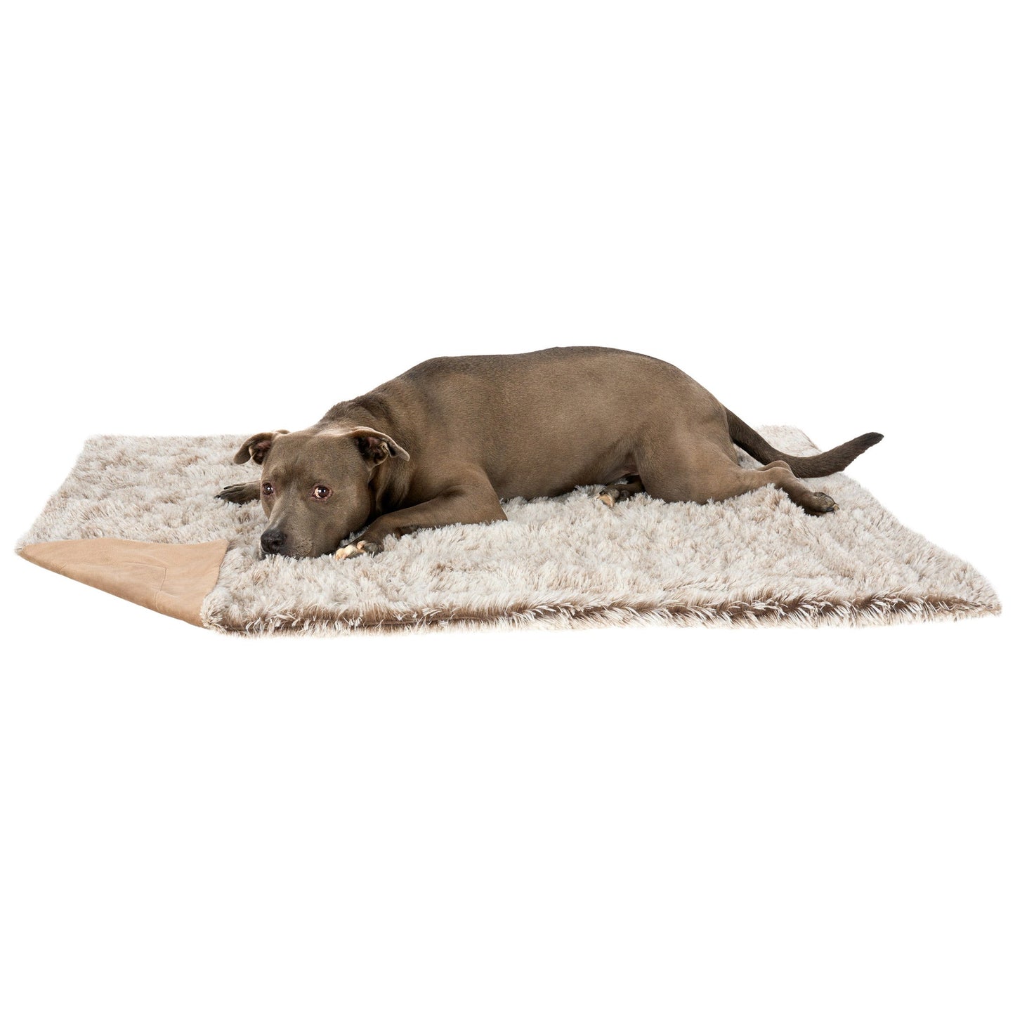 Waterproof Pet Throw Blanket - Long Fur & Velvet