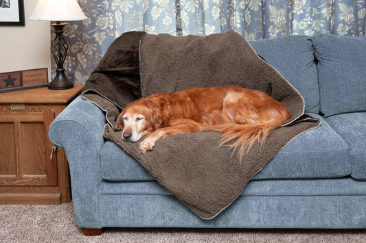 Waterproof Snuggly Warm Faux Lambswool & Terry Pet Throw Blanket
