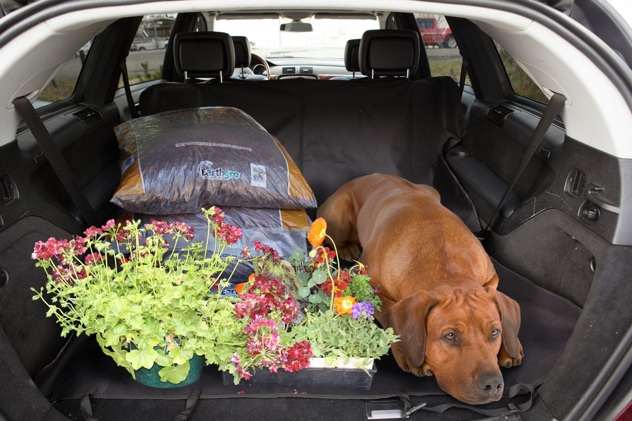 Polycanvas Universal Car Seat Cover