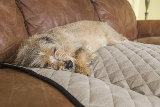 ThermaNAP Plush Velvet Self-Warming Pet Bed Mat