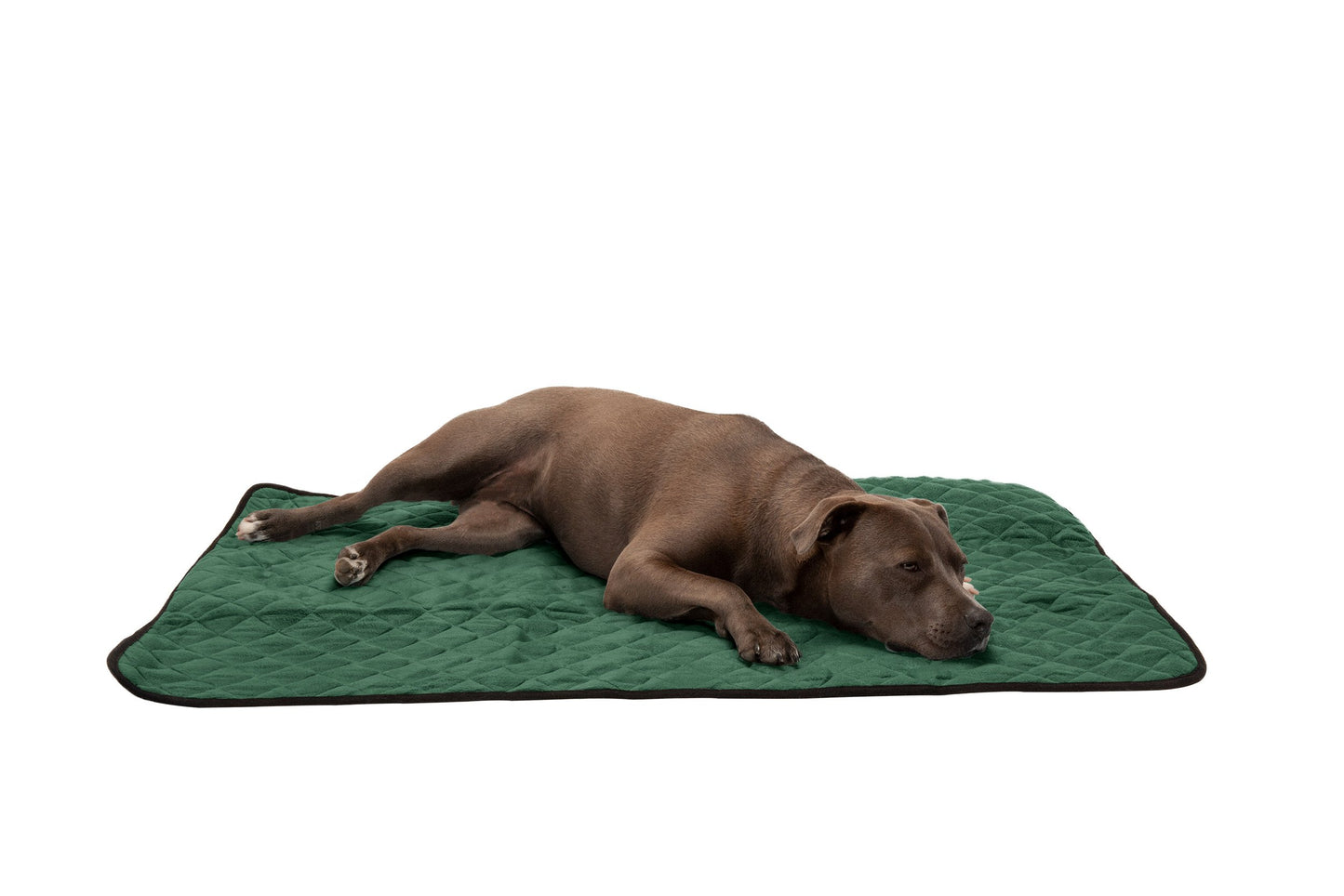 ThermaNAP Plush Velvet Self-Warming Pet Bed Mat