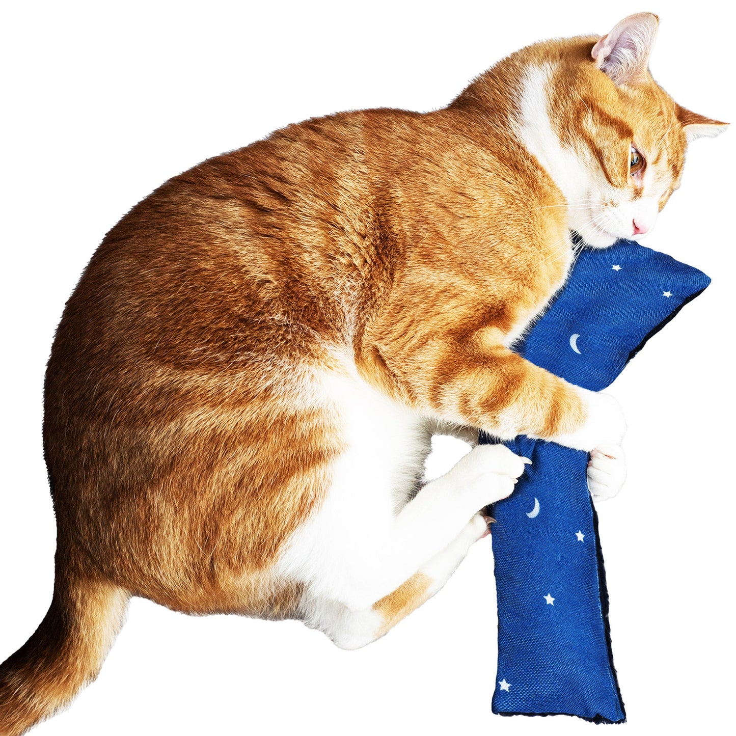 Catnip Kicker Cat Toys 3 pk - Space Print
