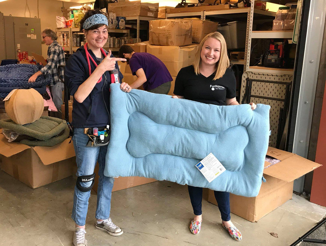 Tails of Joy's First Donation!
