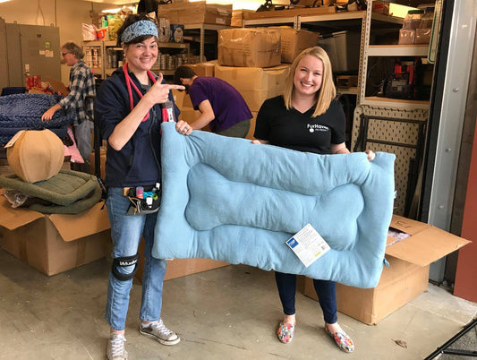 Tails of Joy's First Donation!