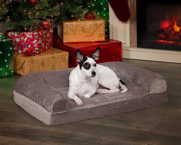 HOLIDAY PET GIFT GUIDE