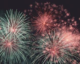 5 Tips for Keeping Your Dog Calm During Fireworks