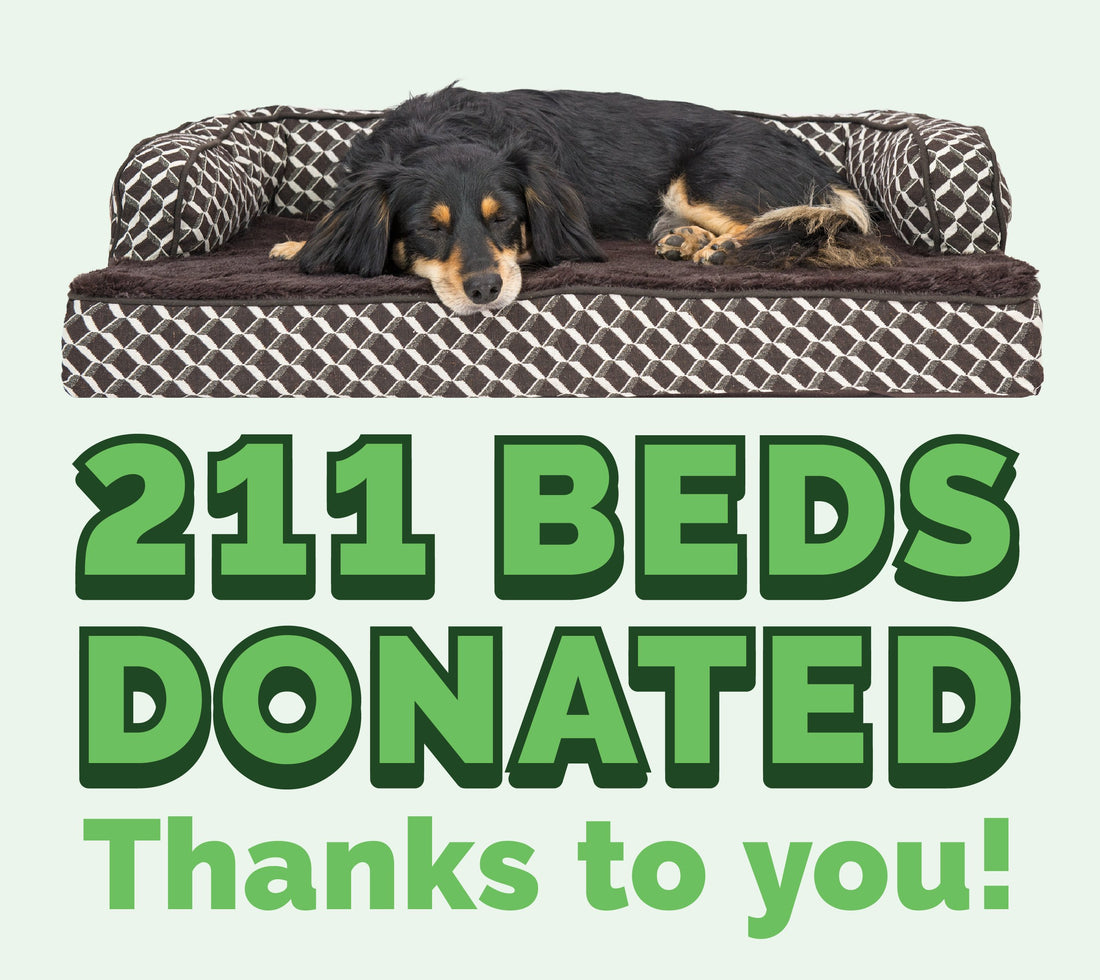 Our May Donation Bed Count!