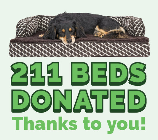 Our May Donation Bed Count!