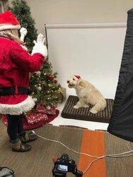 THE HOWLIDAYS ARE HERE!