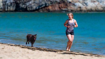 Running With Your Dog