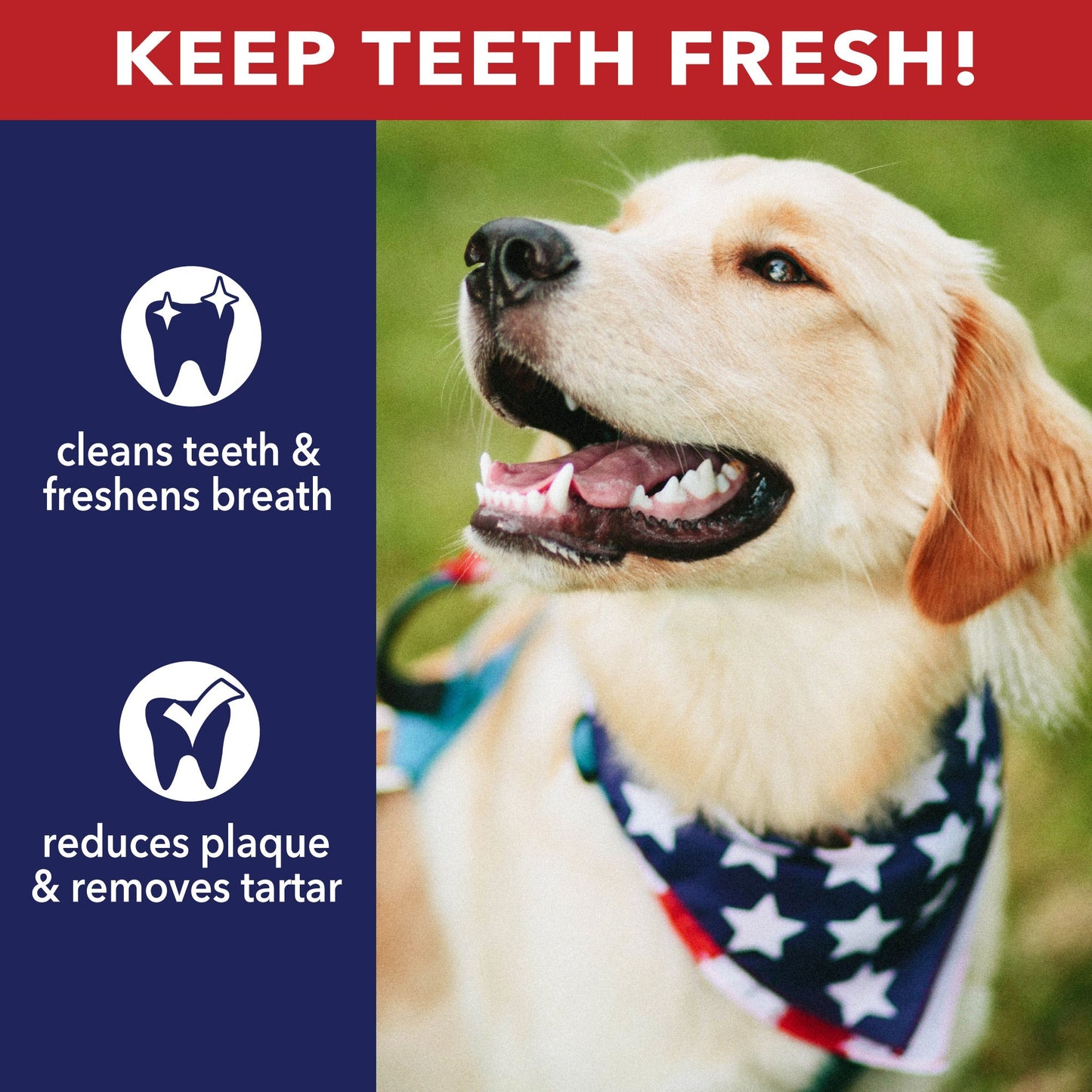 Pet Factory Made in USA Beefhide Assorted - Bones/Rolls