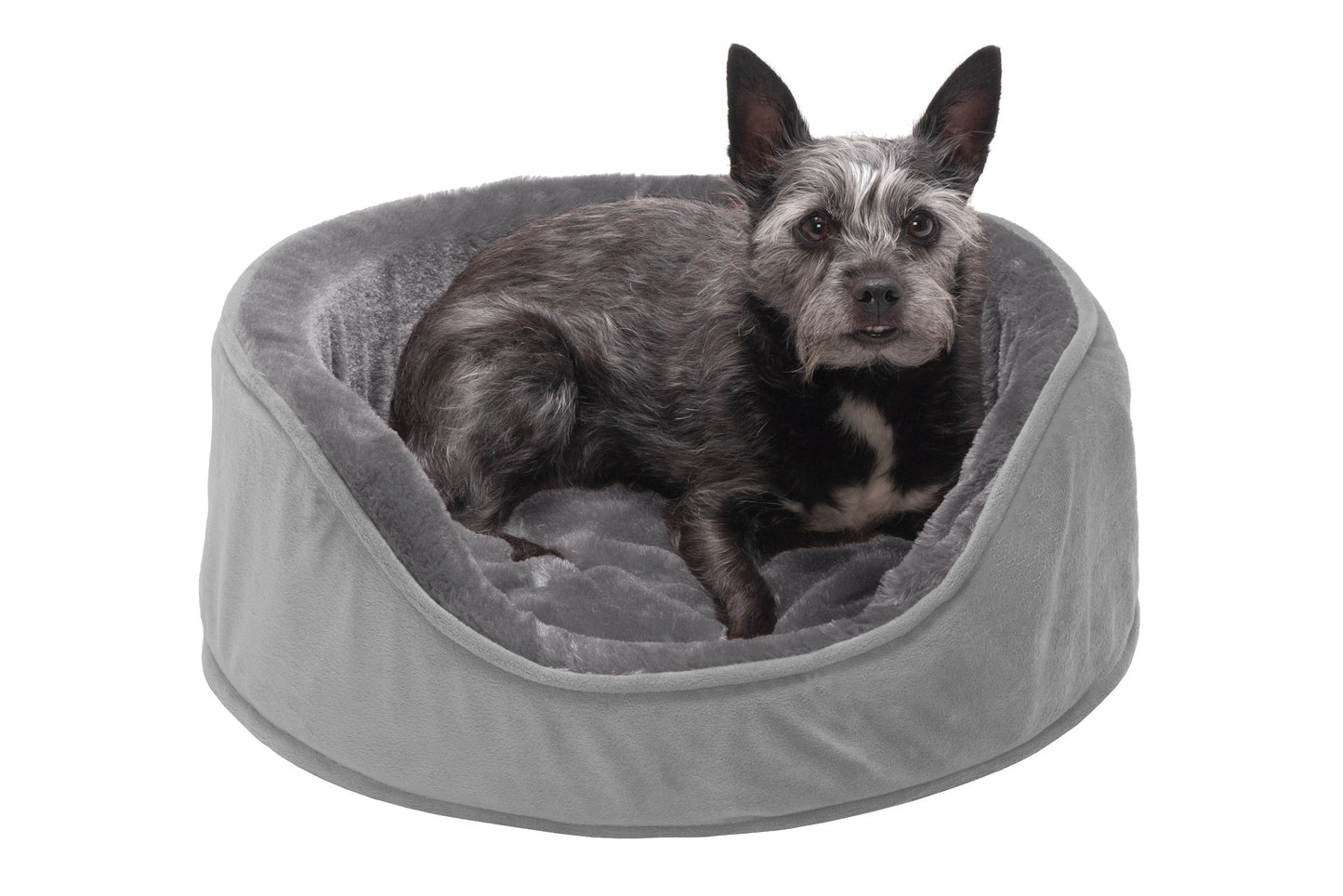 Oval Dog Bed - Plush & Velvet