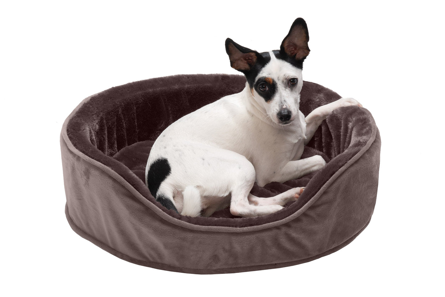 Oval Dog Bed - Plush & Velvet