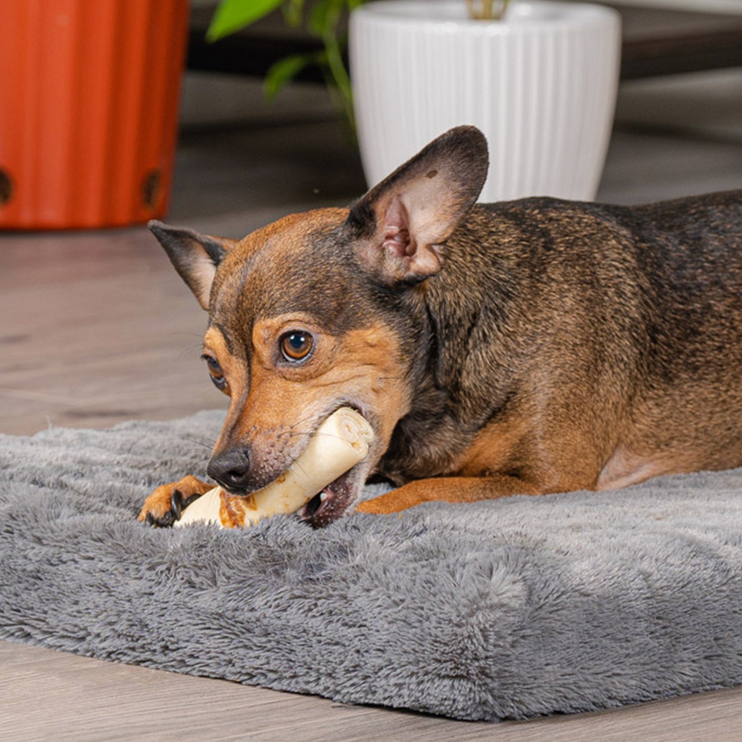 Pet Factory - Twistedz American Beefhide Rolls w/ Meat Wrap Dog Treats