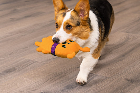 2-in-1 Plush & TPR Dog Toy - Hubble the Martian