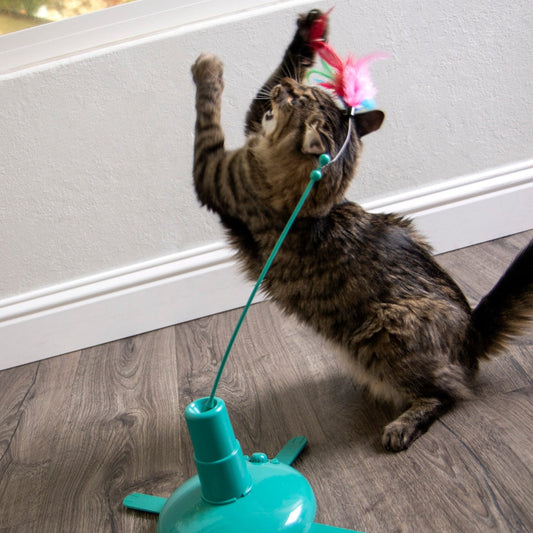 SmartyKat - Loco Motion Electronic Motion Wand Toy for Cats & Kittens