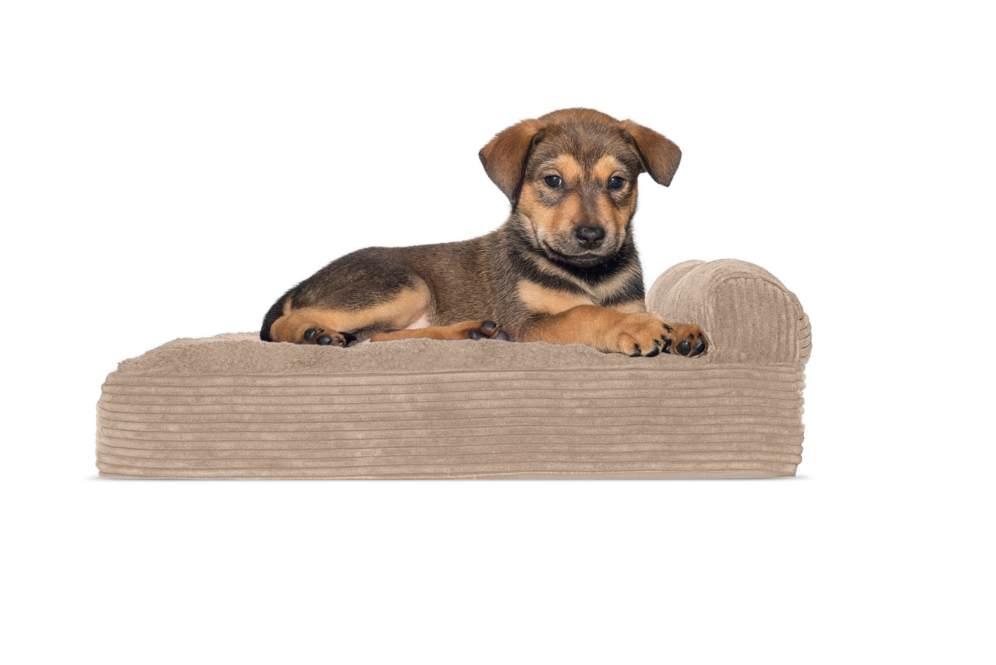 Chaise Lounge Dog Bed - Faux Fleece & Corduroy