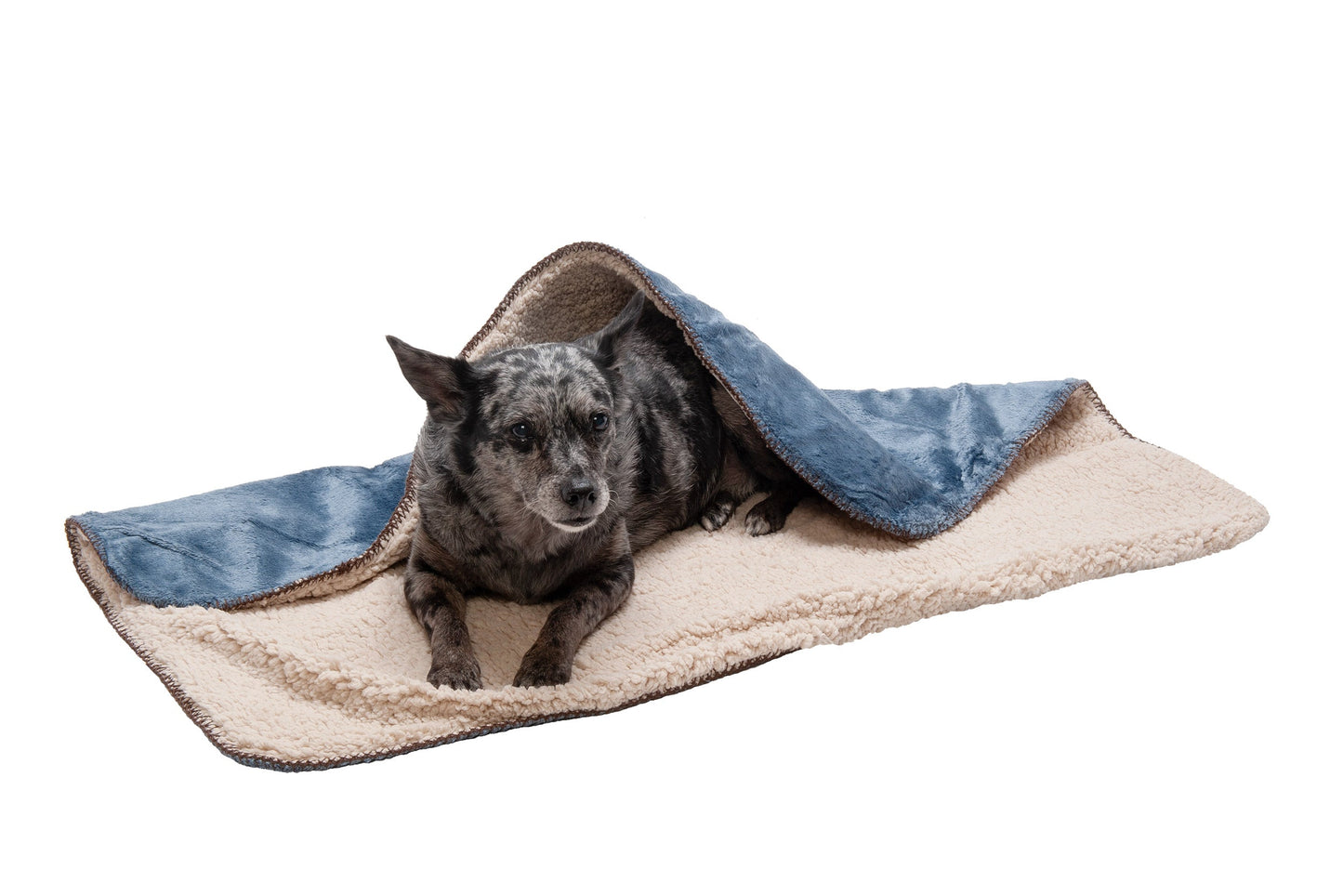 Waterproof Snuggly Warm Faux Lambswool & Terry Pet Throw Blanket