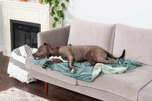 Waterproof Velvet Pet Throw Blanket