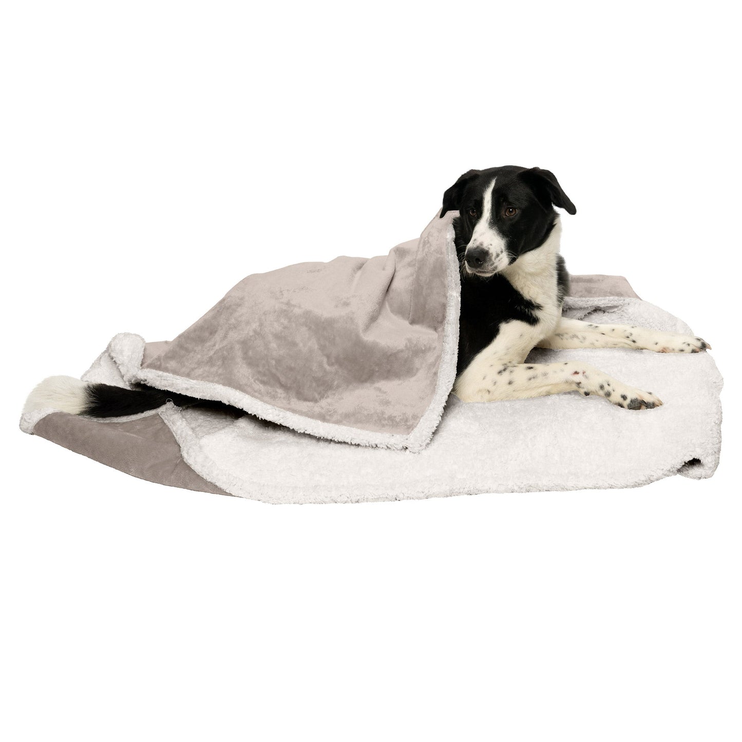 Snuggly & Warm Soft-Edge Warming Waterproof Blanket