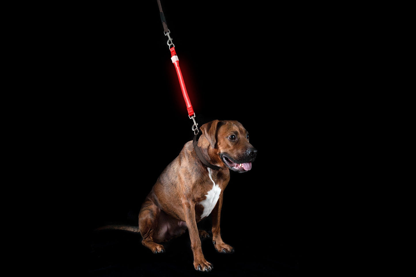 LED Leash Extender