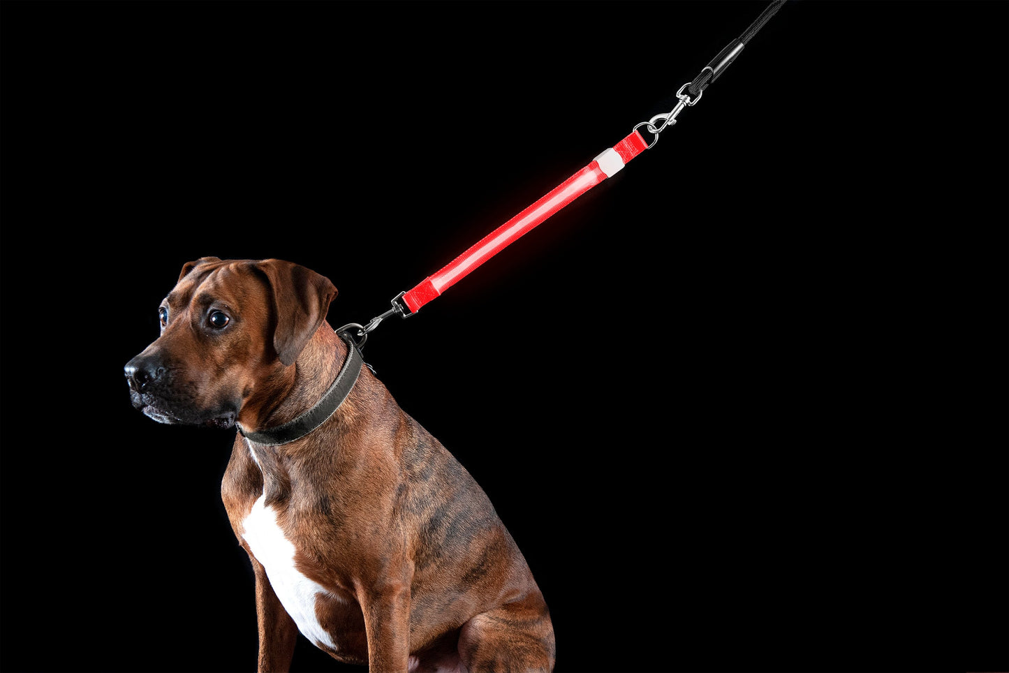 LED Leash Extender