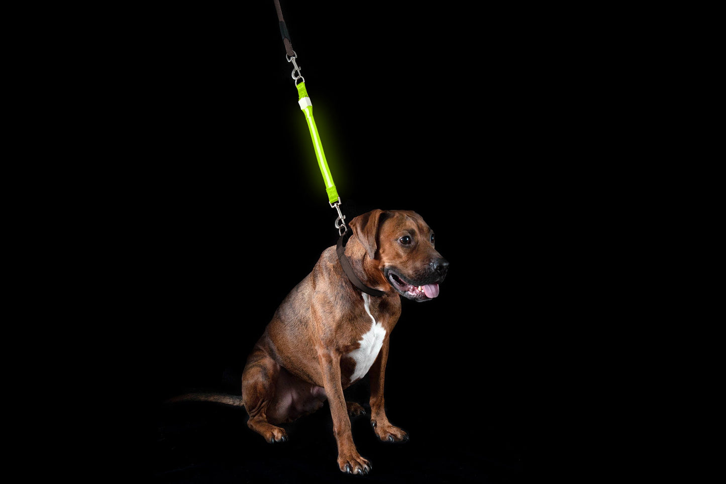 LED Leash Extender
