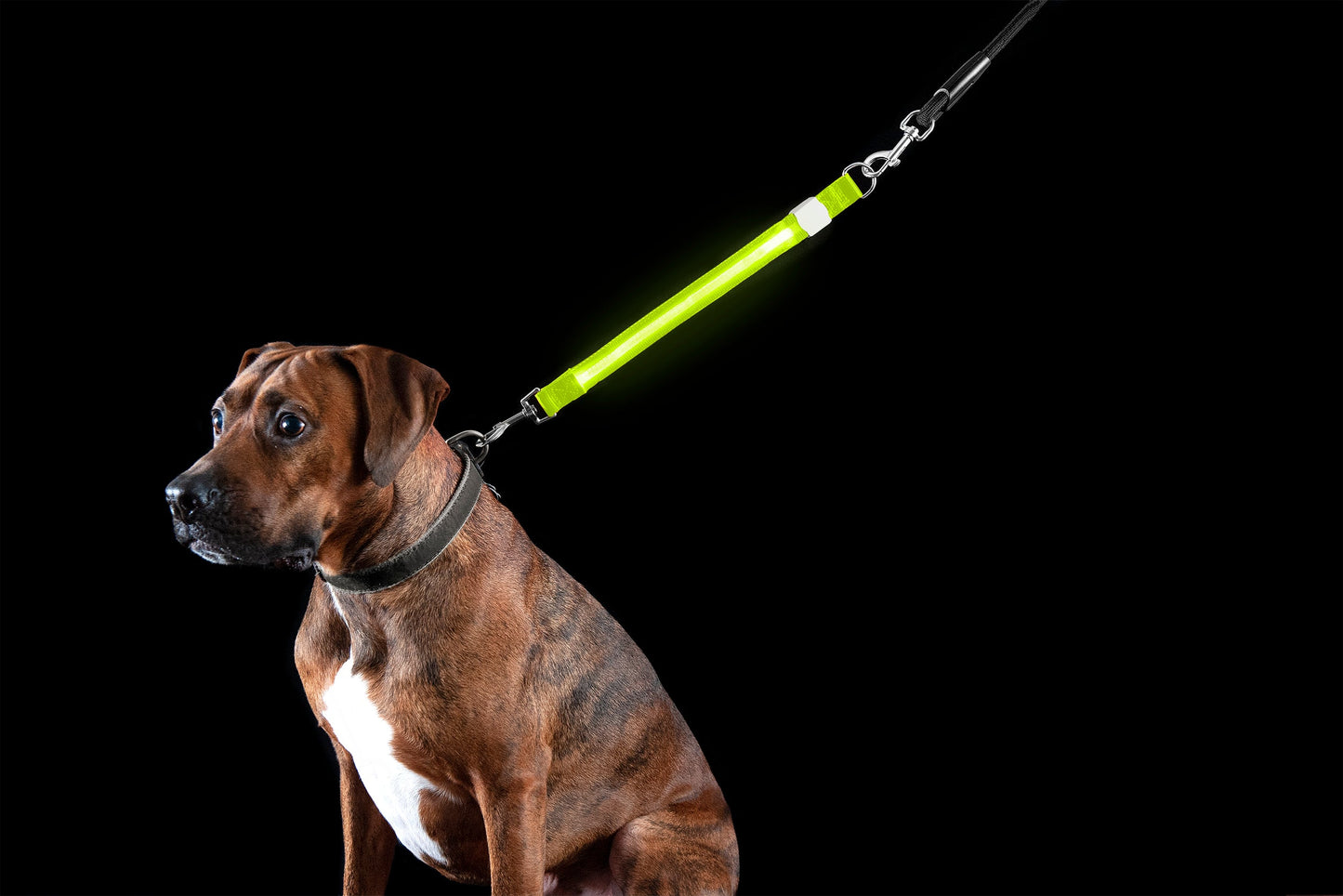 LED Leash Extender