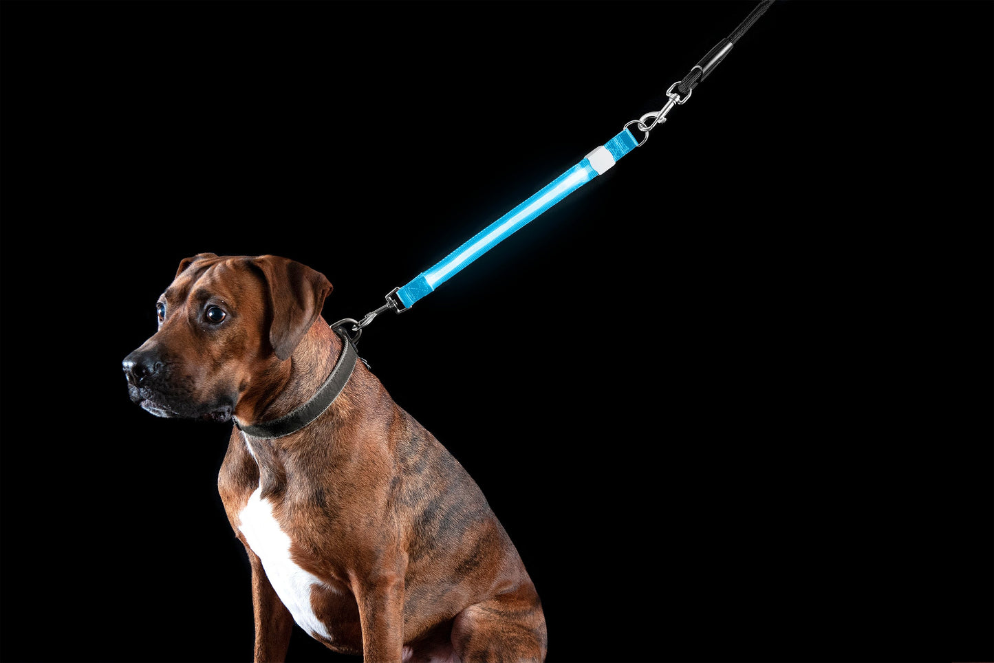 LED Leash Extender