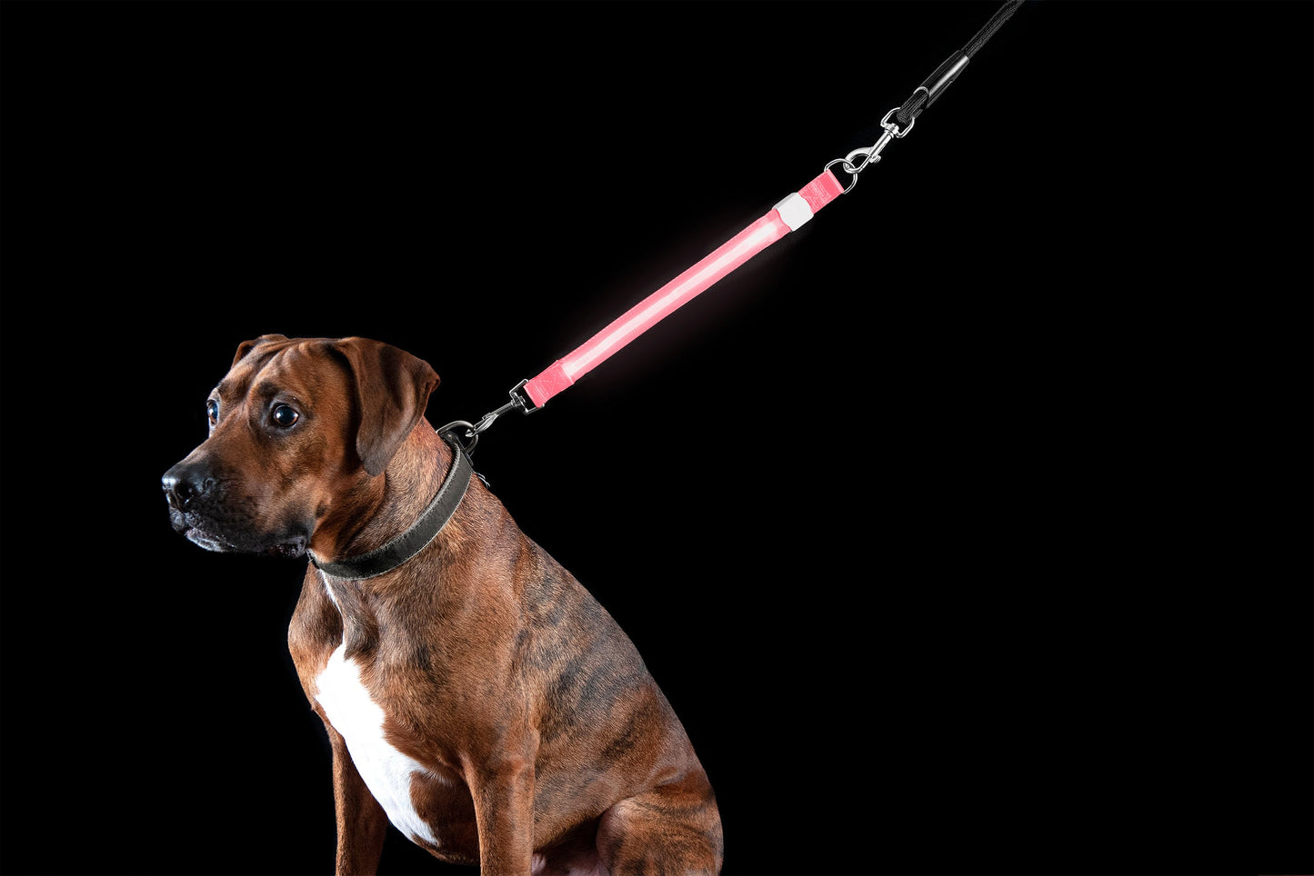 LED Leash Extender