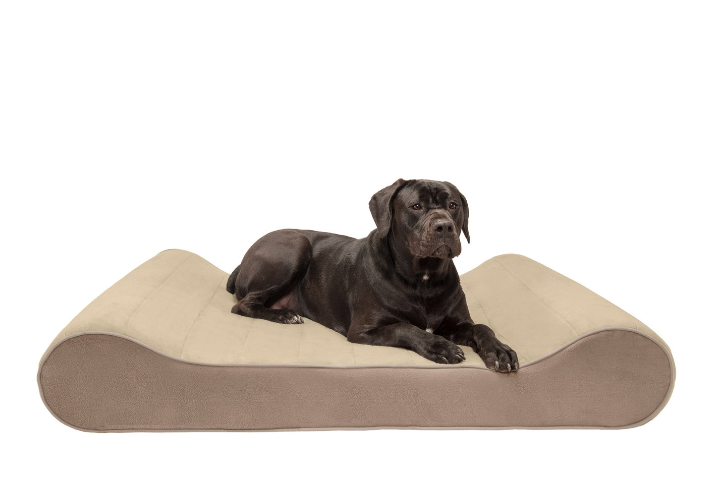Luxe Lounger Contour Dog Bed - Microvelvet