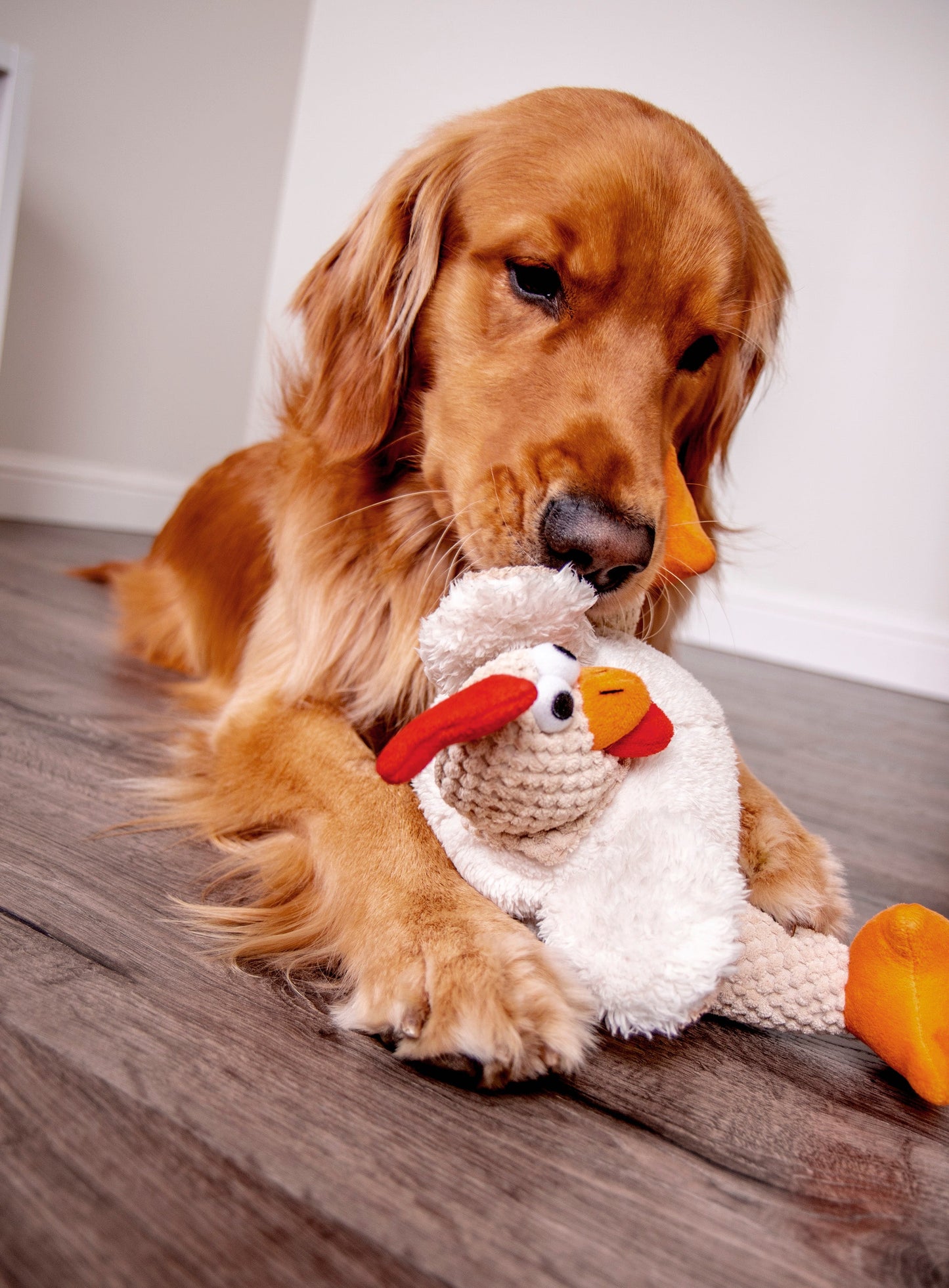 goDog - Checkers Squeaky Plush Dog Toy with Chew Guard Technology