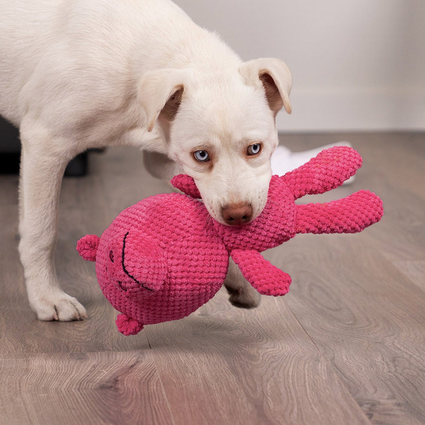 goDog - Checkers Hippo Squeaky Plush Dog Toy with Chew Guard Technology