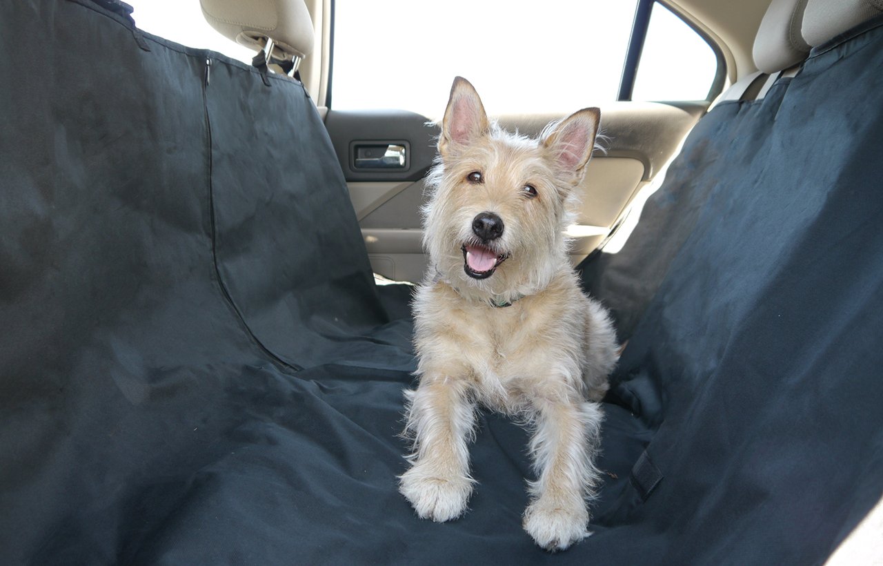 Polycanvas Universal Car Seat Cover
