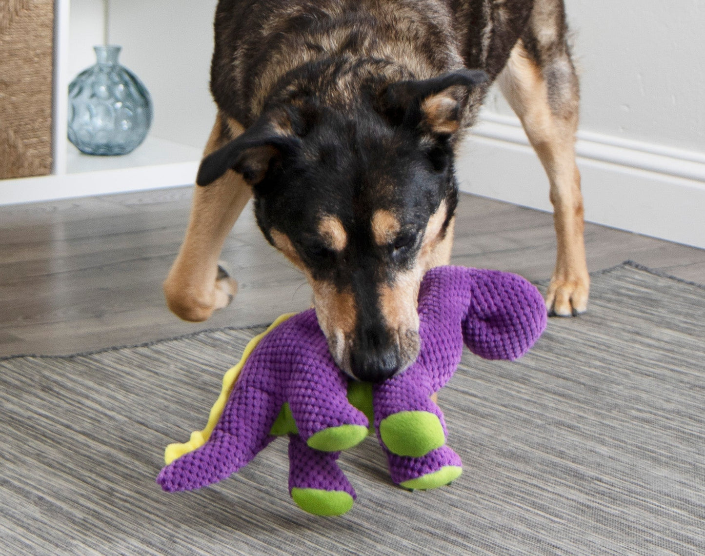 goDog - Dinos Bruto Checkers Squeaky Plush Dog Toy with Chew Guard Technology