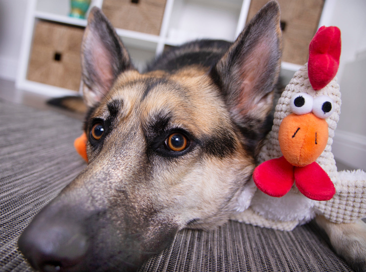 goDog - Checkers Squeaky Plush Dog Toy with Chew Guard Technology