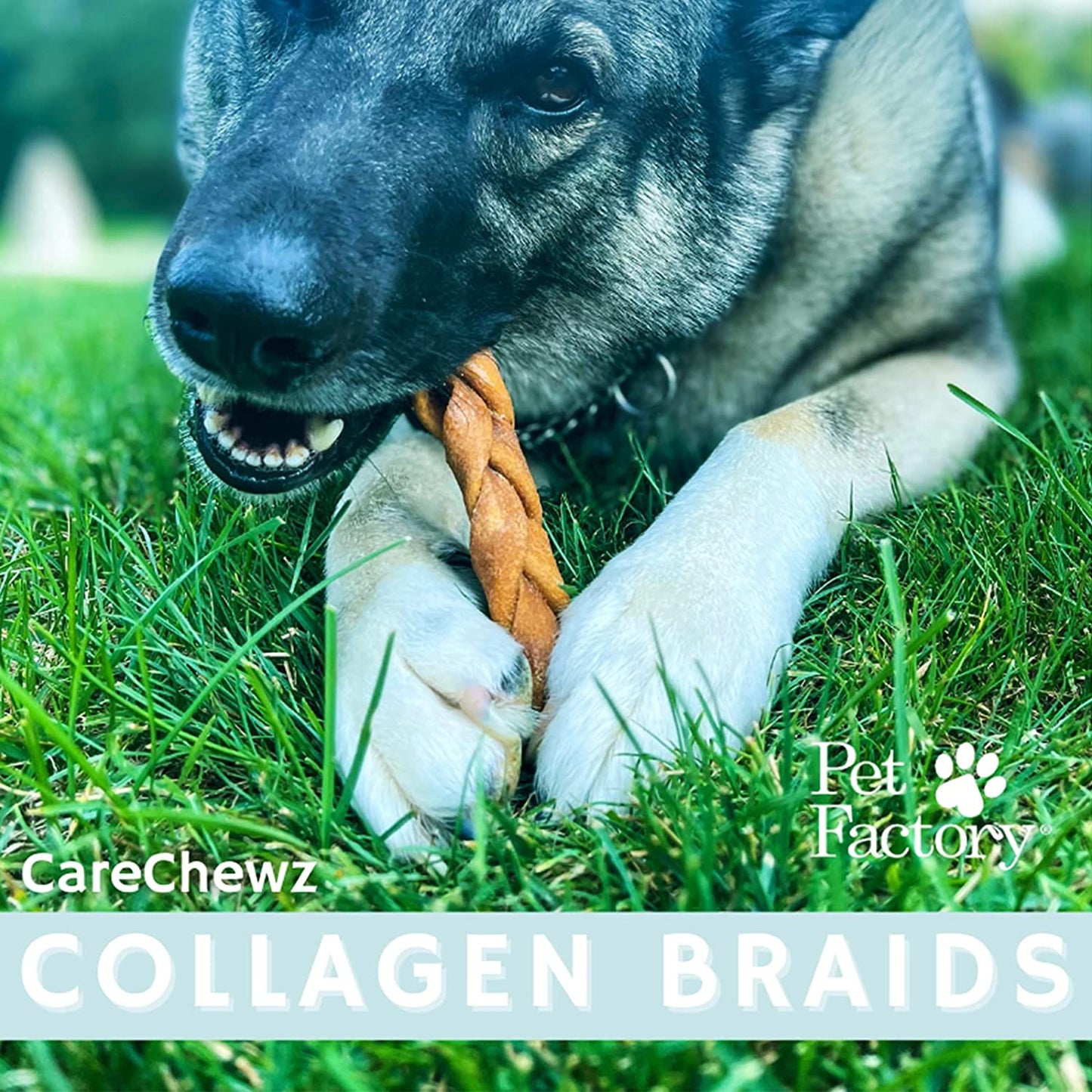 Pet Factory - CareChewz Collagen Braids 6-7", 15 - Pack Dog Treat
