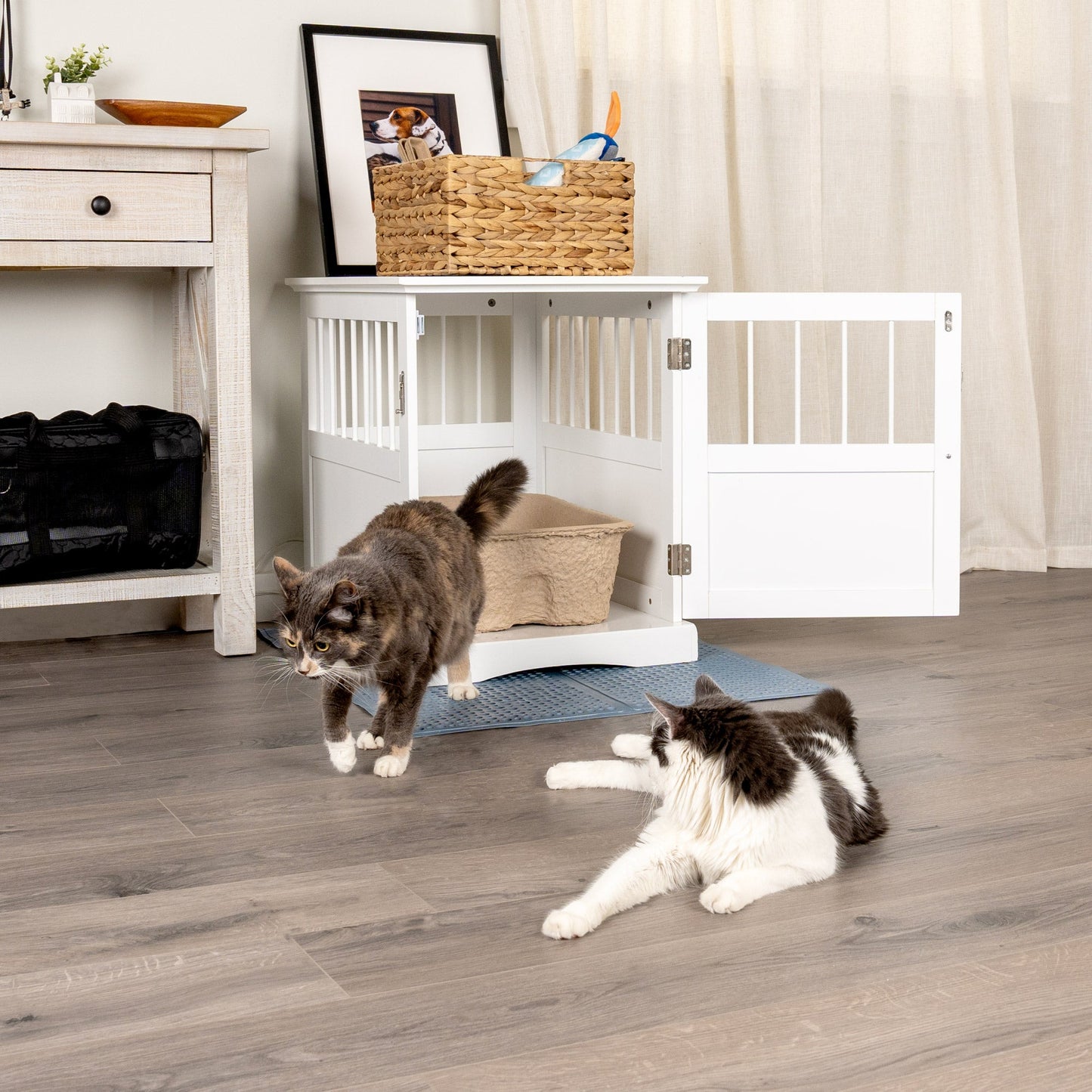 Kitty Sift Deluxe Disposable Litter Box, Jumbo, 2-Pack