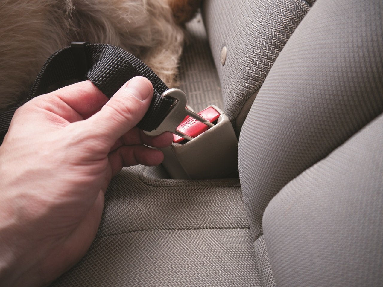 Car Seat Safety Clip