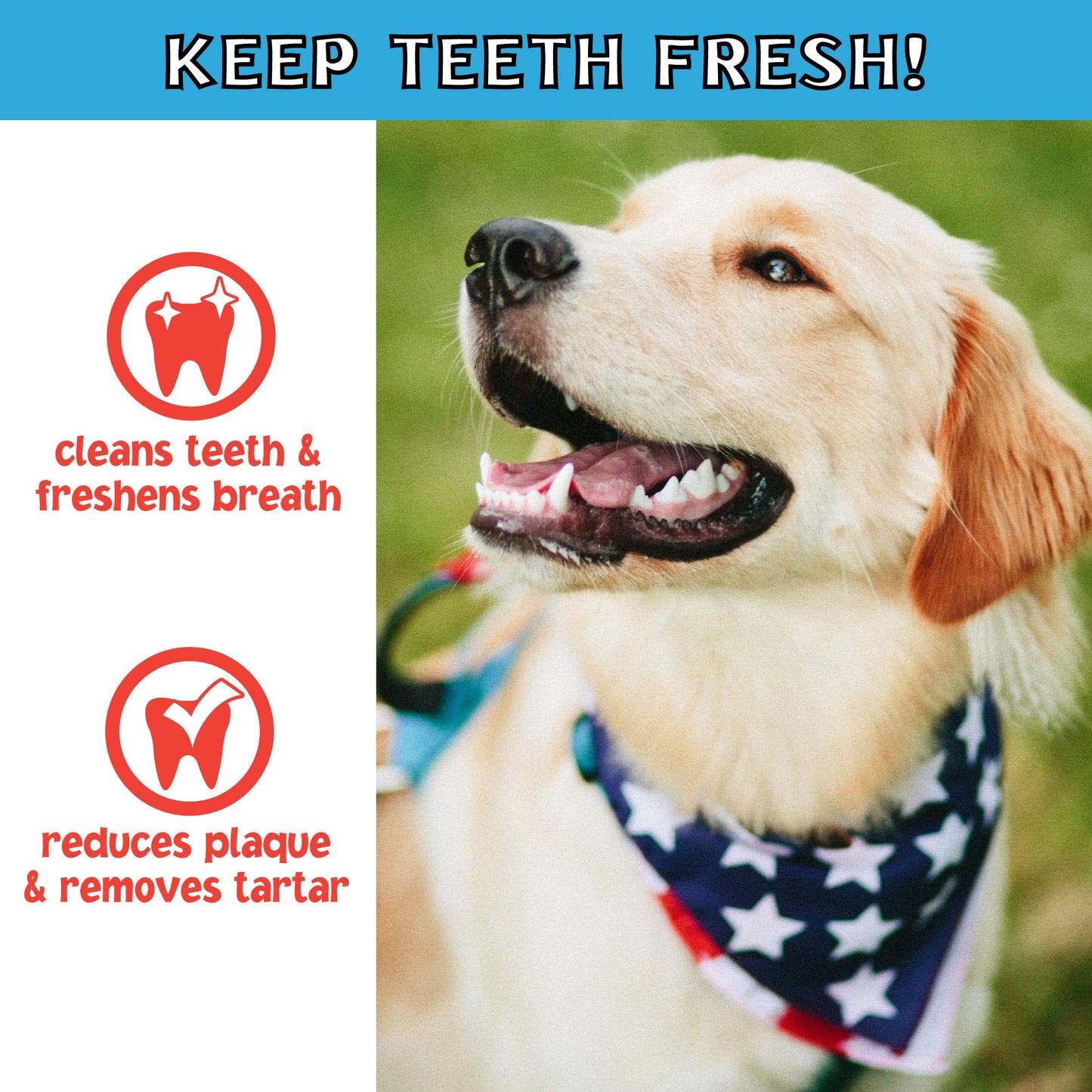 Pet Factory - Twistedz American Beefhide Mini Rolls with Meat Wrap 3-3.5" 14-Pack Dog Treats