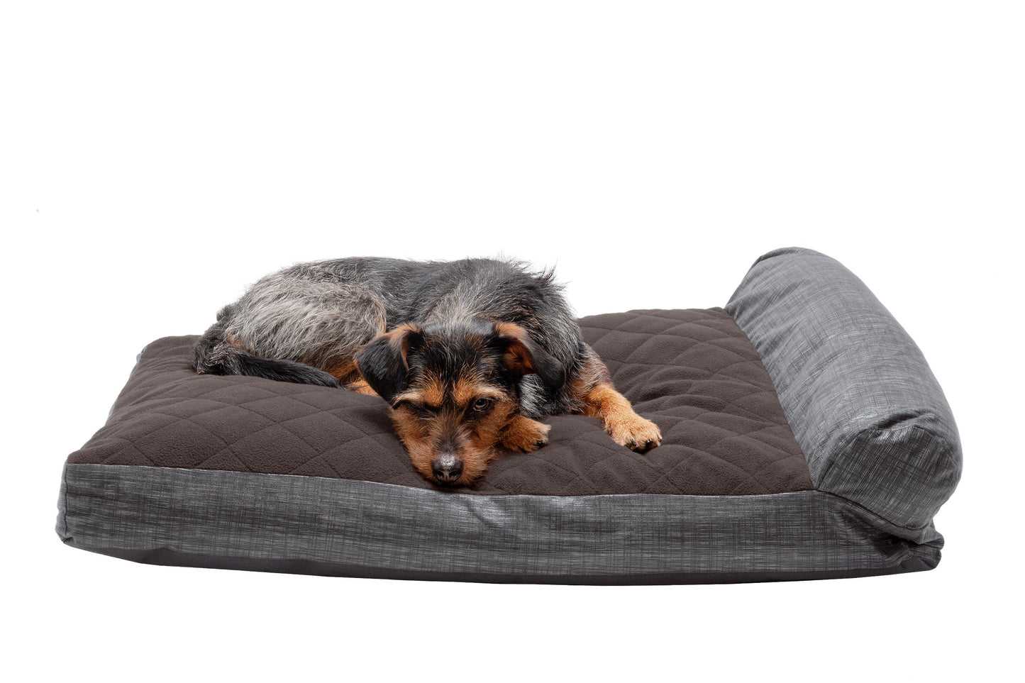 Chaise Lounge Dog Bed - Quilted Fleece and Print Suede
