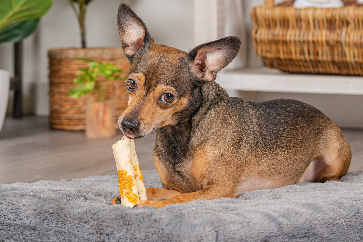 Pet Factory - Twistedz American Beefhide Rolls w/ Meat Wrap 4-inch Dog Treats