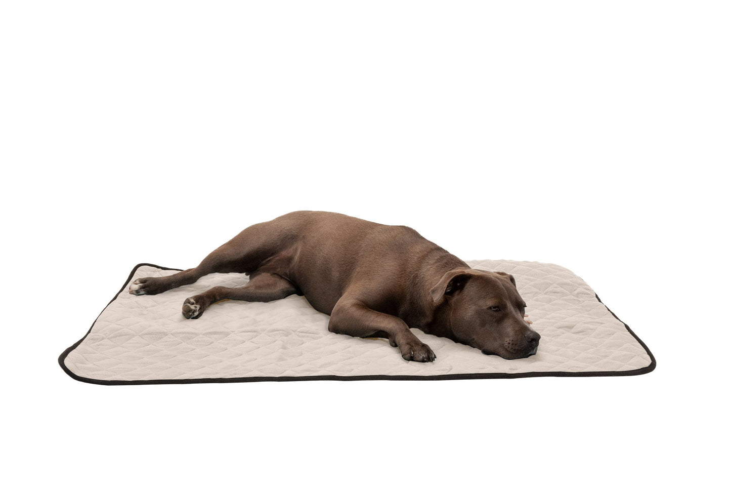 ThermaNAP Plush Velvet Self-Warming Pet Bed Mat