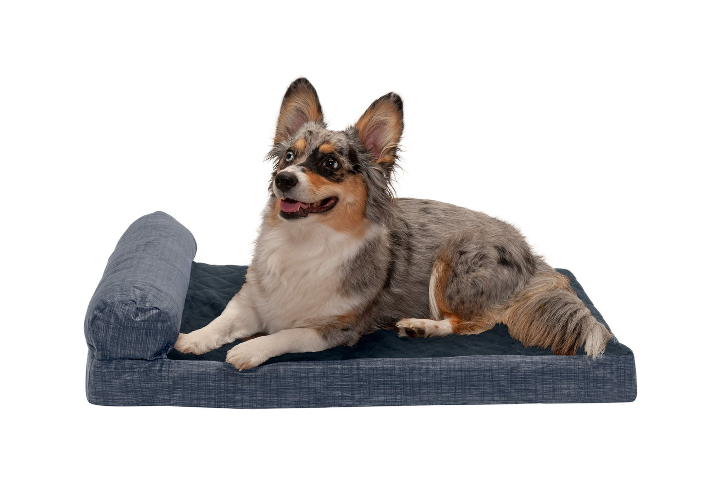 Chaise Lounge Dog Bed - Quilted Fleece and Print Suede