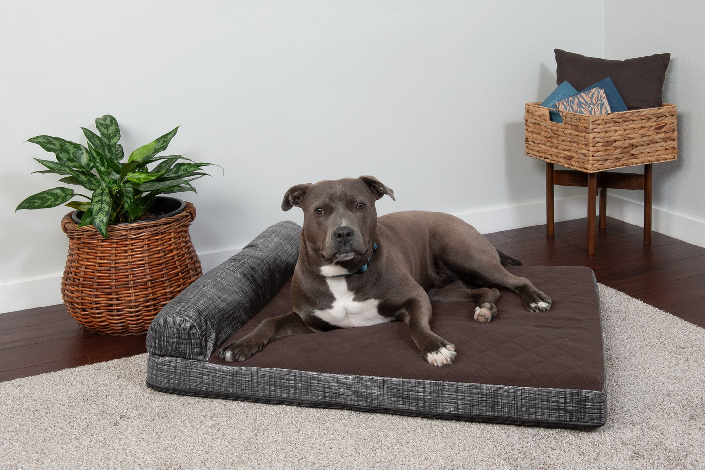 Chaise Lounge Dog Bed - Quilted Fleece and Print Suede