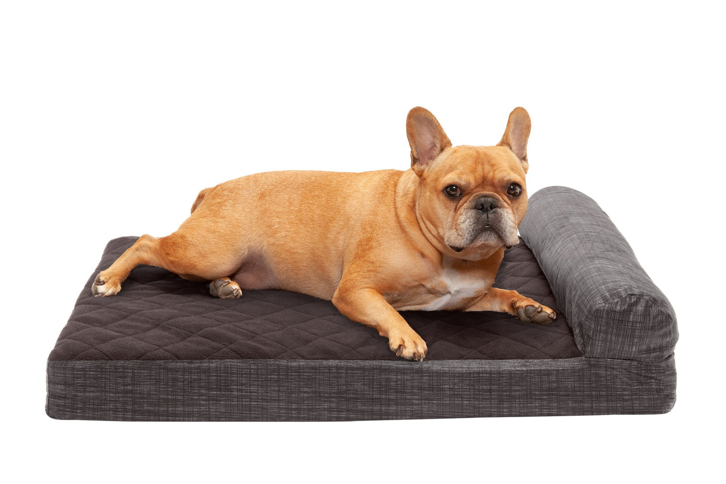 Chaise Lounge Dog Bed - Quilted Fleece and Print Suede