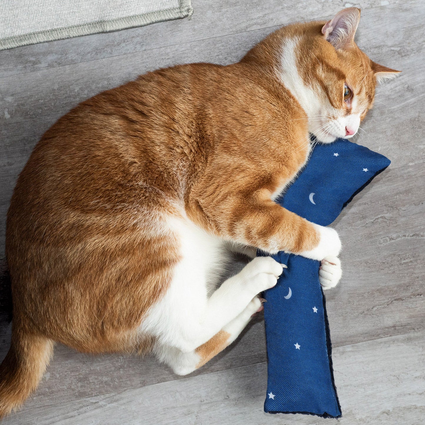 Catnip Kicker Cat Toys 3 pk - Space Print